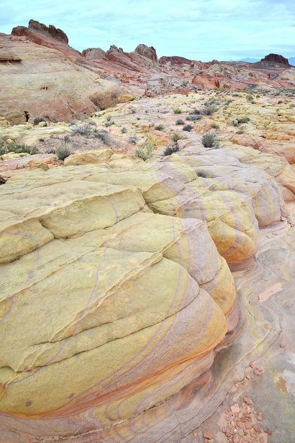 Colorful Boulders in Valley of Fire #6 Photograph by Ray Mathis