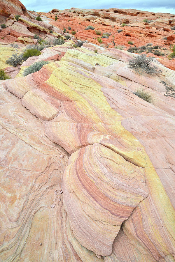 Colorful Sandstone in Valley of Fire #28 Photograph by Ray Mathis