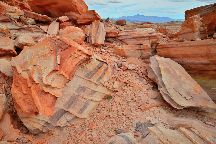 Colorful Valley of Fire State Park #3 Photograph by Ray Mathis