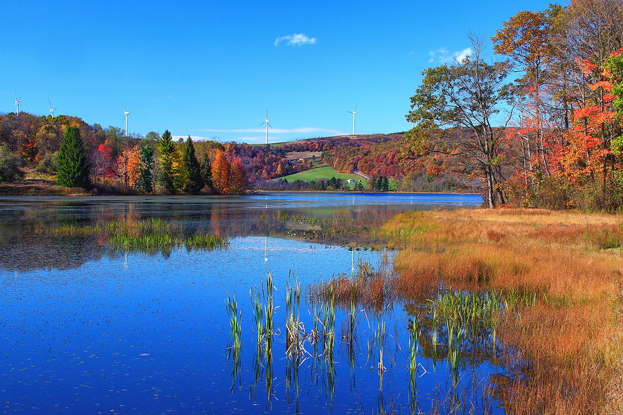 Cranberry Glade Lake Photograph by Tammy McGogney