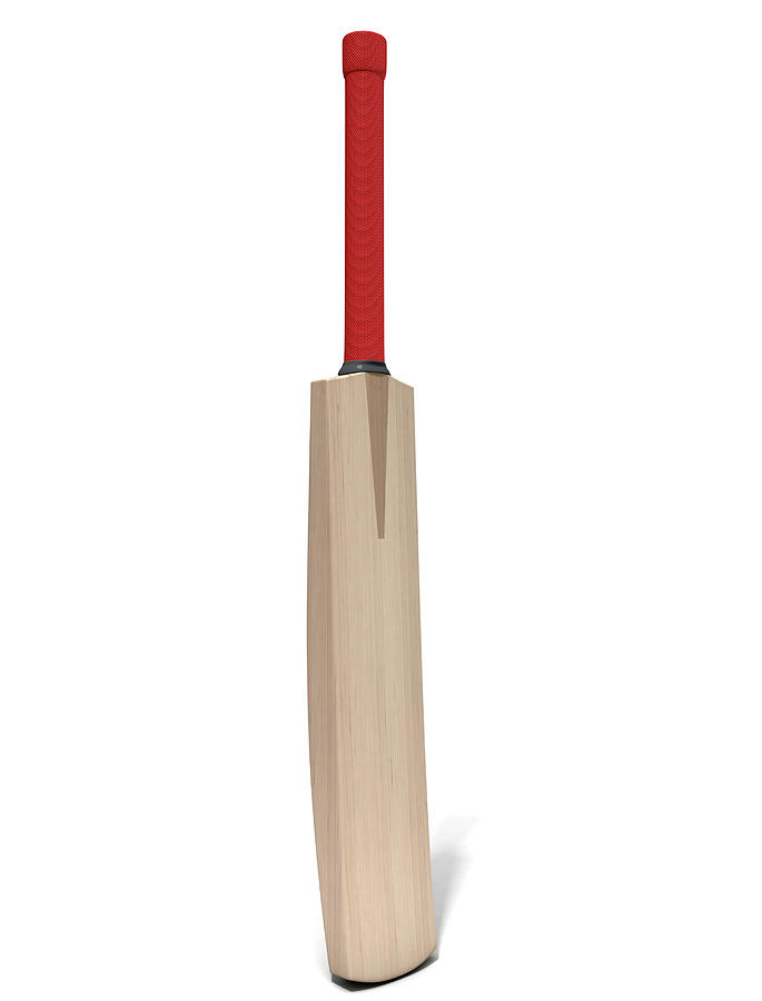 Cricket Bat Digital Art by Allan Swart