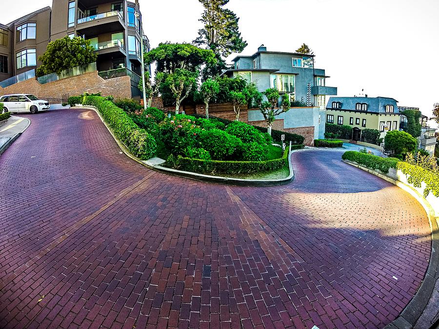 Curvy Winding Lombard Street San Francisco #3 Photograph by Alex Grichenko