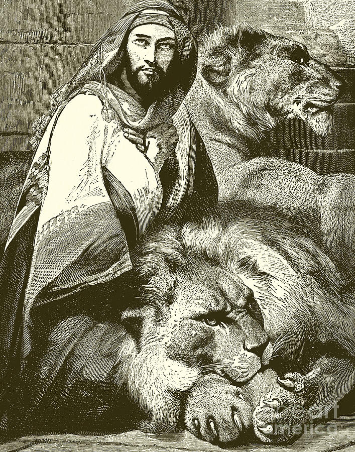 Lion Drawing - Daniel in the Lions Den, engraving by English School