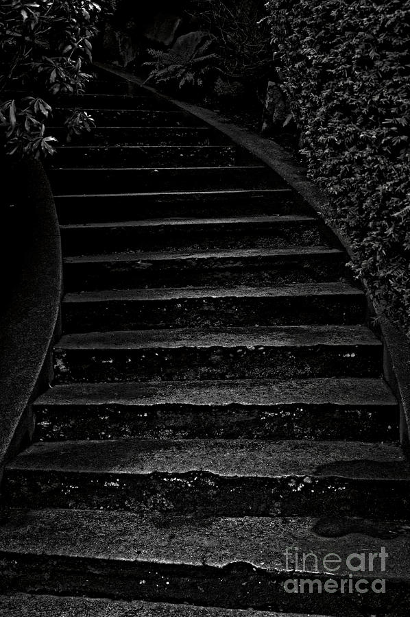 Dark Steps Leading Upward #3 Photograph by Jim Corwin