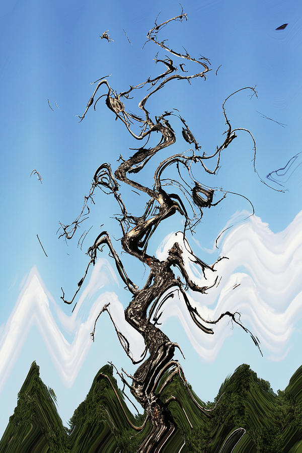 Dead Pine Tree Abstract #3 Digital Art by Tom Janca