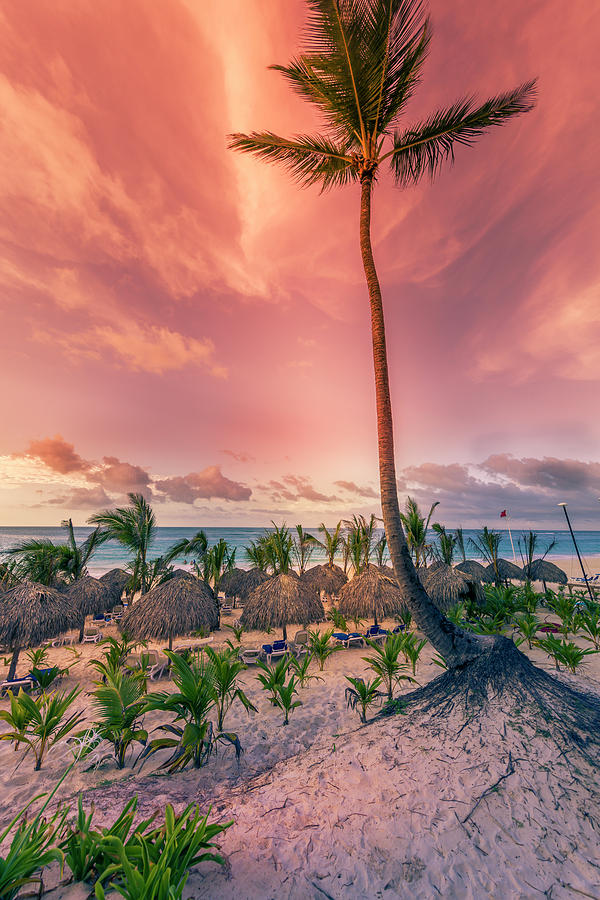 Dominicana Beach #3 Photograph by Peter Lakomy