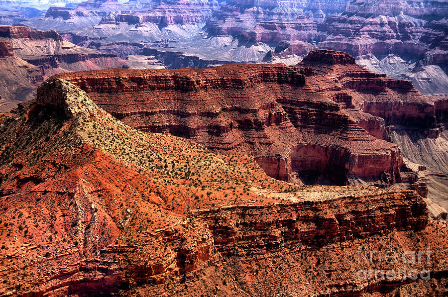 Dragon Corridor Grand Canyon #3 Photograph by Thomas R Fletcher