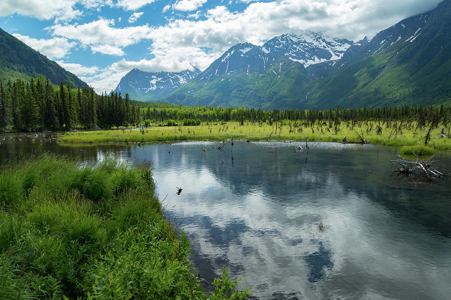 Anchorage Photograph - Eagle River Nature Center #3 by Jon Manjeot
