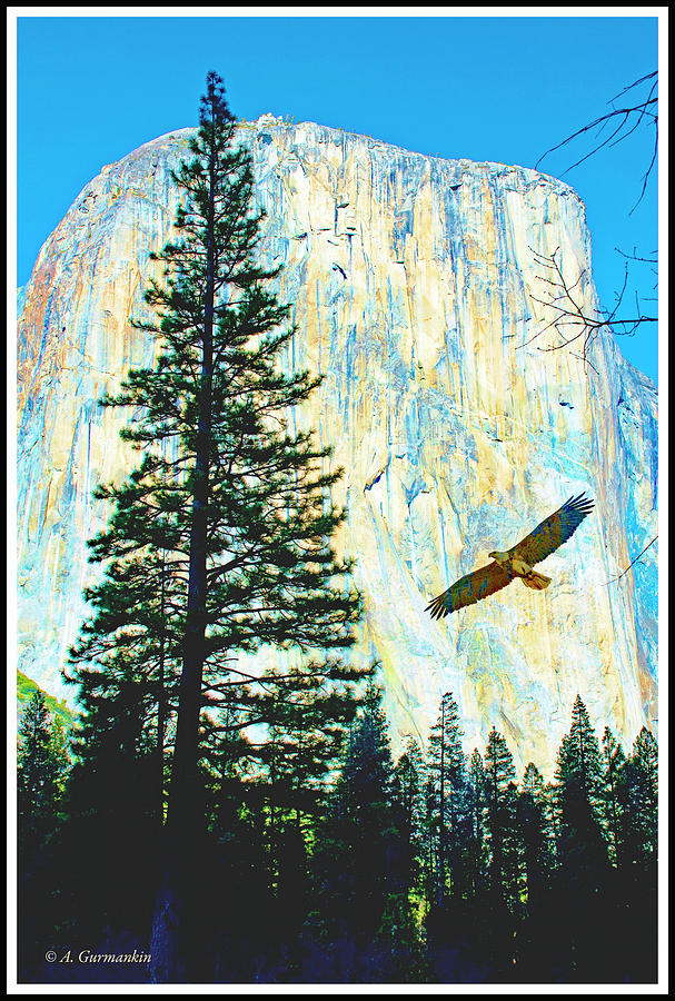 El Capitain Mountain, Yosemite National Park, California #4 Photograph by A Macarthur Gurmankin