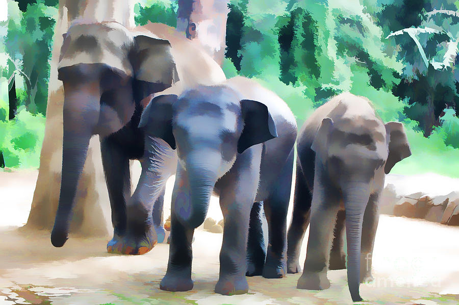 3 Elephants Digital Art by Charuhas Images