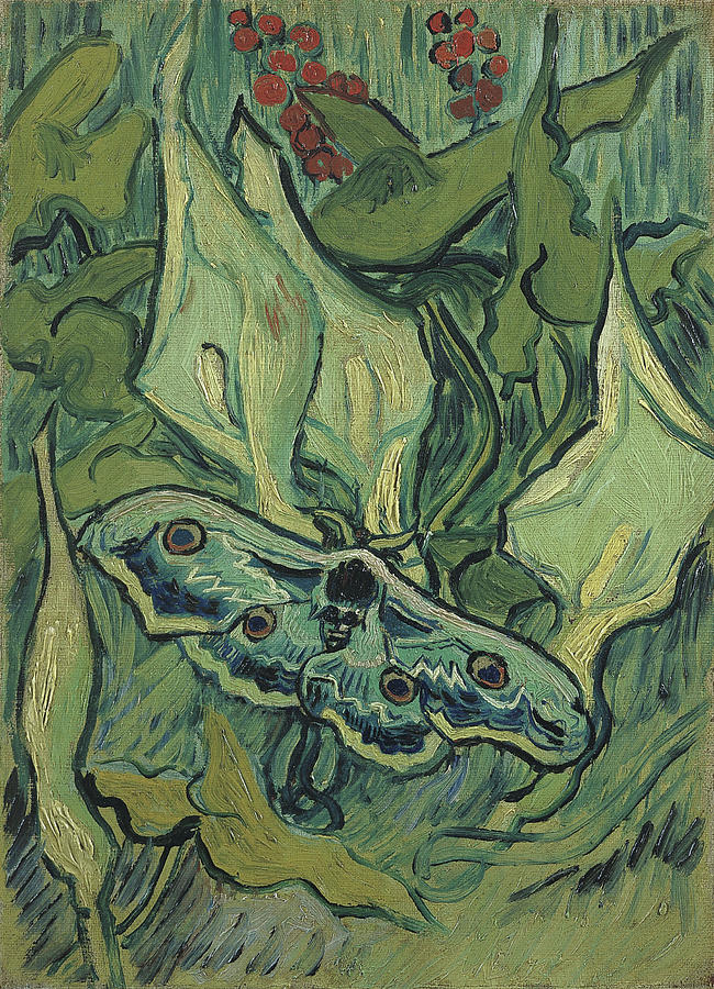 Emperor moth #3 Painting by Vincent van Gogh