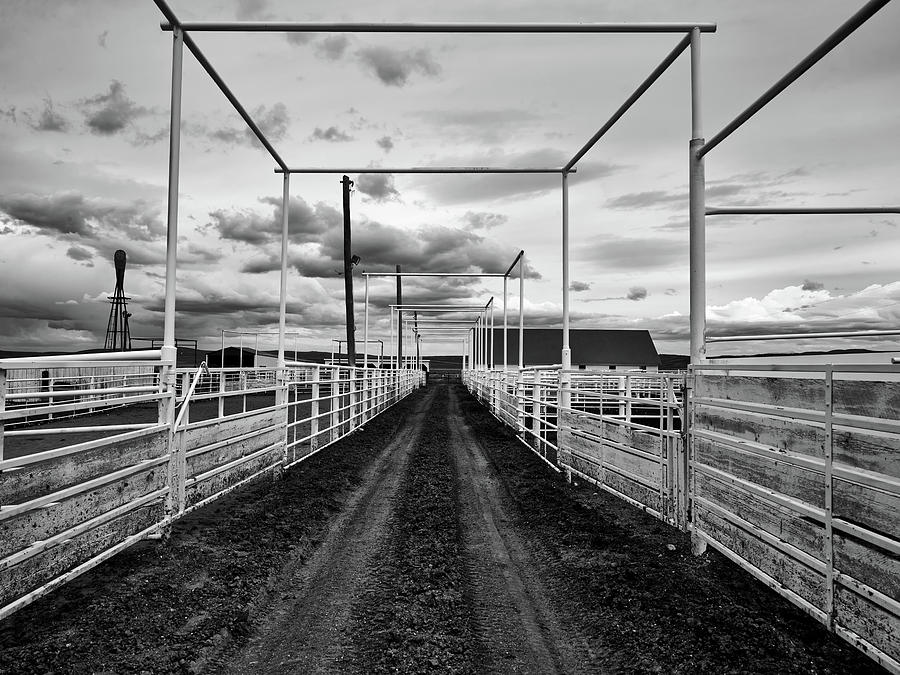 Empty Corrals #3 Photograph by Mountain Dreams