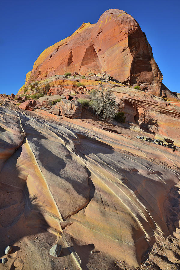 Entrance to Pastel Canyon in Valley of Fire #3 Photograph by Ray Mathis