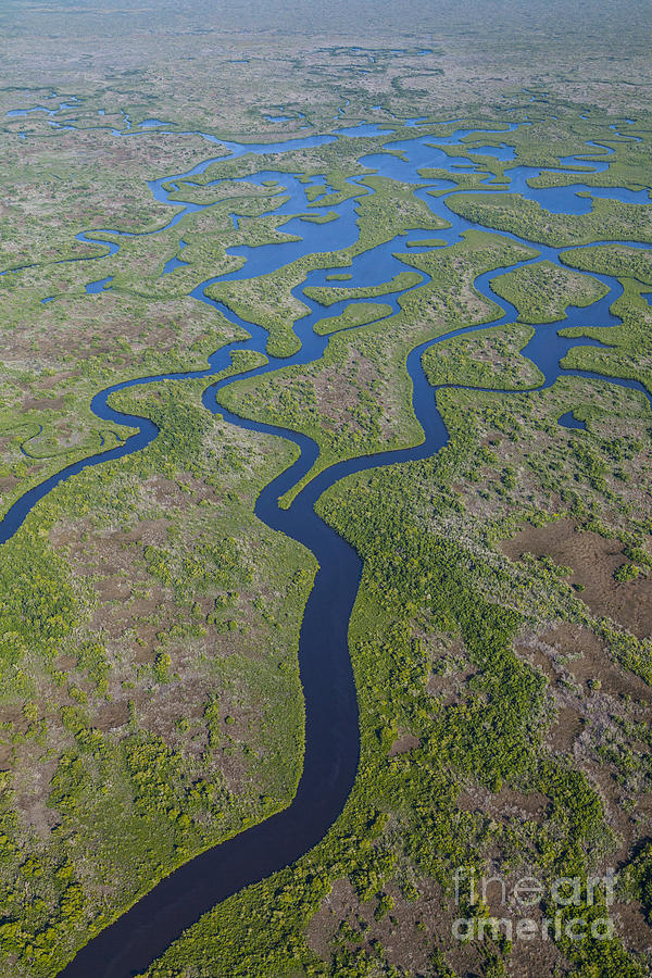 Everglades Aerial #3 Photograph by Juan Carlos Muoz