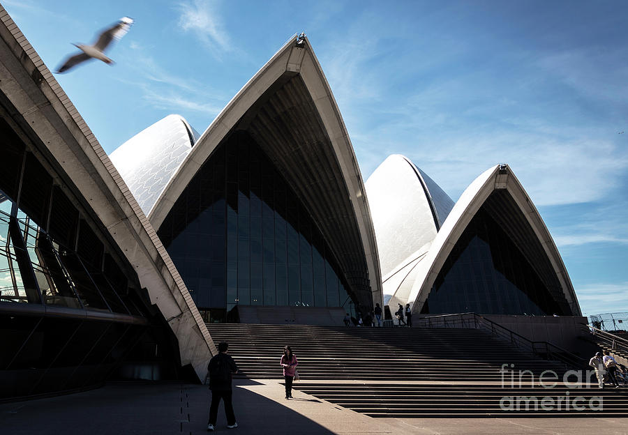 Exterior Architecture Detail Of Sydney Opera House Landmark In A #3 Photograph by JM Travel Photography