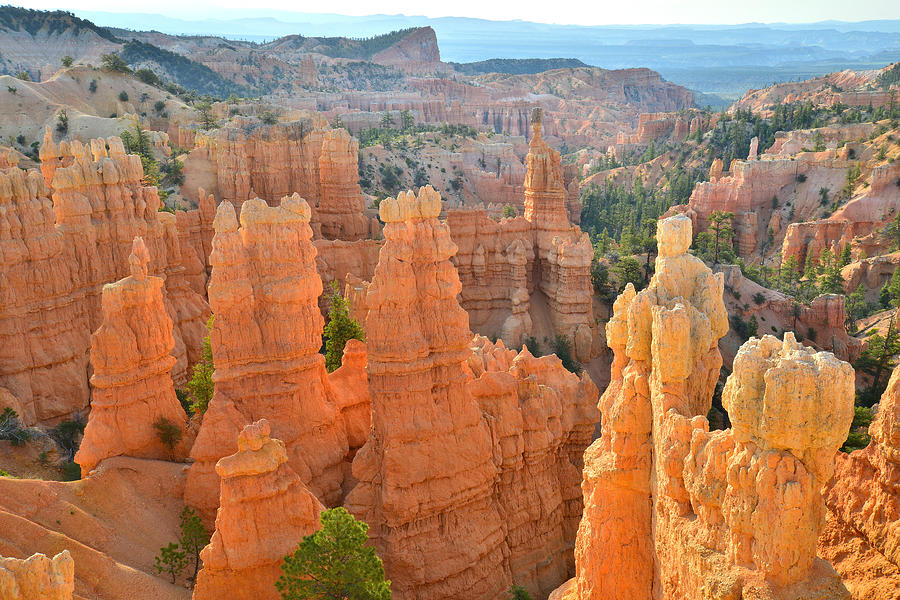 Fairyland Canyon #8 Photograph by Ray Mathis