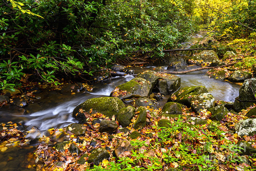 Fall Color Straight Creek Photograph