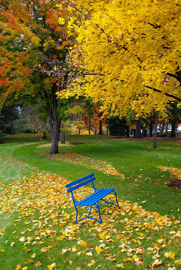 Fall Colors in Spokane #3 Photograph by Ben Upham III