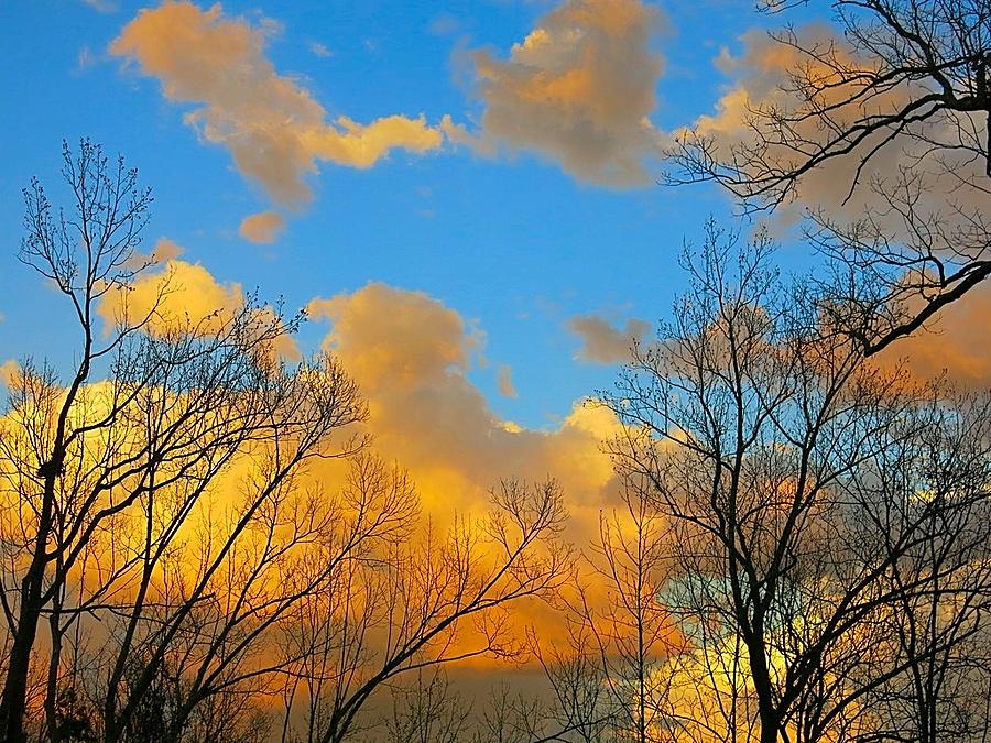 February Sunset #3 Photograph by Betty Buller Whitehead
