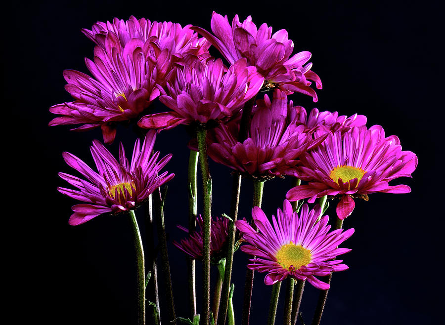 Floral arrangement Photograph by Paul Moore - Fine Art America