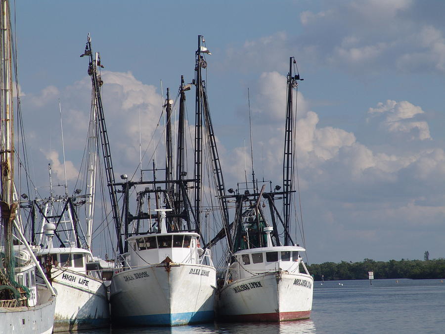 3 Florida Shrimp Boats Photograph by Florene Welebny