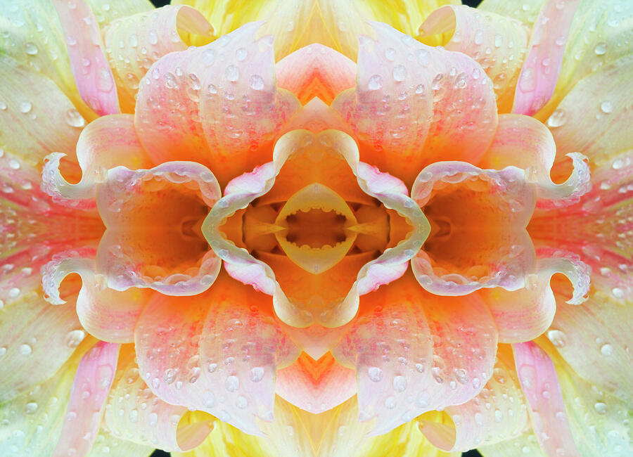 Flower Mandala - 0099-d Photograph by Paul W Faust - Impressions of Light