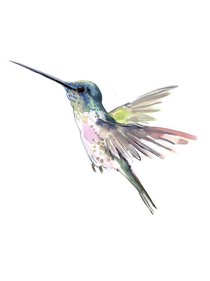 Flying Hummingbird #3 Painting by Suren Nersisyan