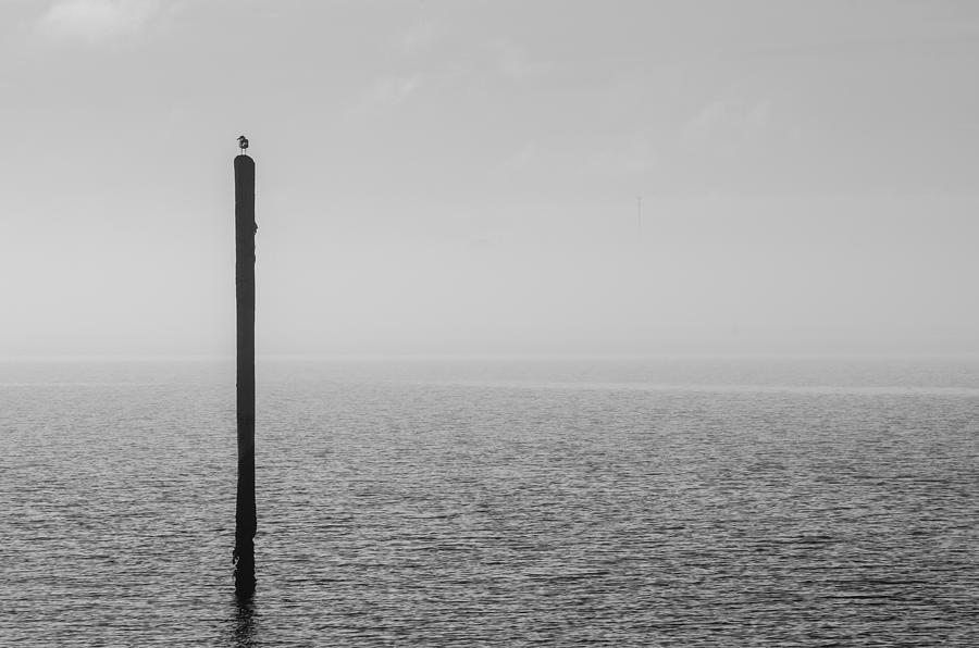 Fog on the Cape Fear River by Willard Killough III Fog on the Cape Fear River by Willard Killough III