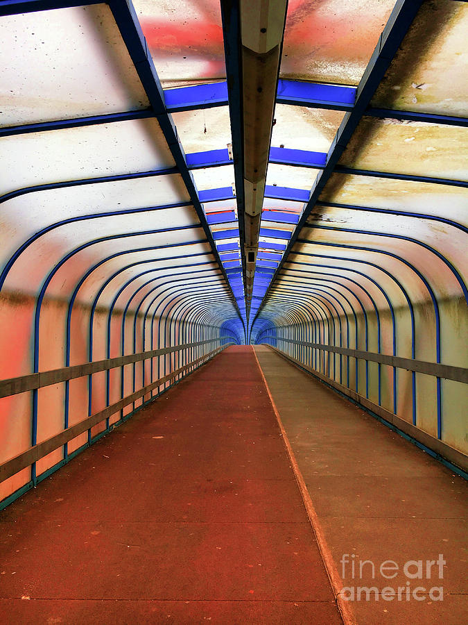Footbridge #3 Photograph by Tom Gowanlock