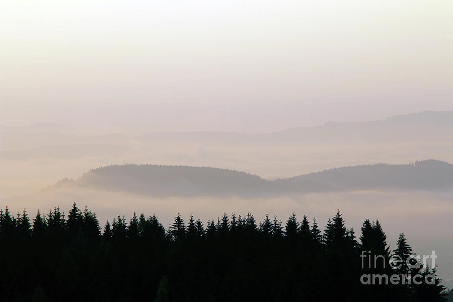 Forested hills in early morning mist #3 Photograph by Michal Boubin