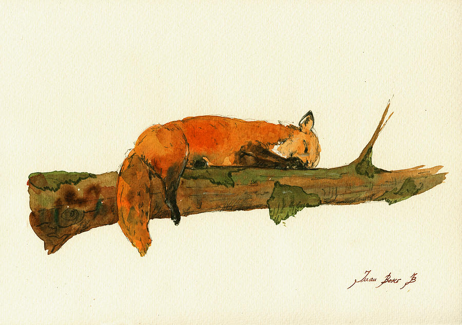 Fox Painting - Fox sleeping painting #3 by Juan  Bosco