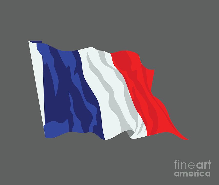 Flag Digital Art - France Flag #3 by Frederick Holiday