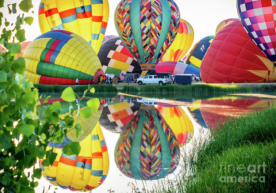 Frederick In Flight Reflection Photograph by Andrew Barela Fine Art