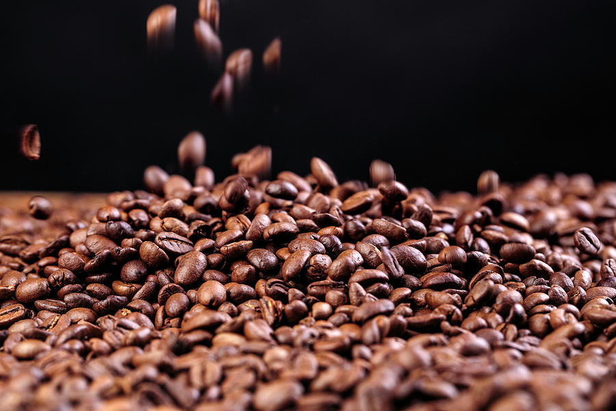 Fresh Roasted Coffe Beans Photograph
