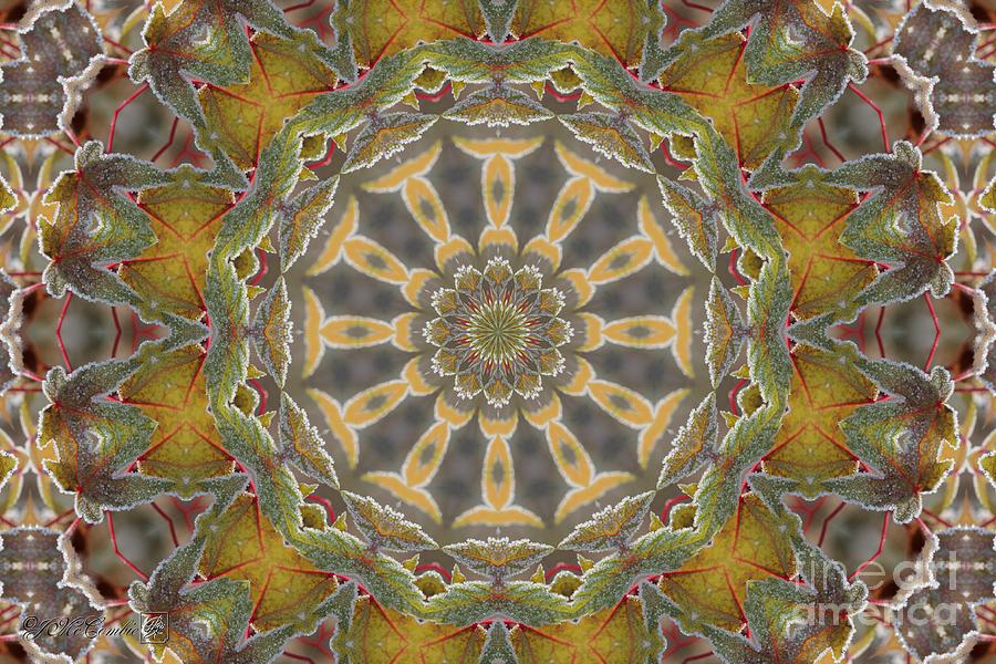 Frosted Maple Leaf Kaleidoscope #2 Digital Art by J McCombie