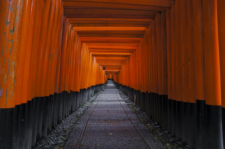 Fushimi Inari Taisha #3 Photograph by Brian Kamprath