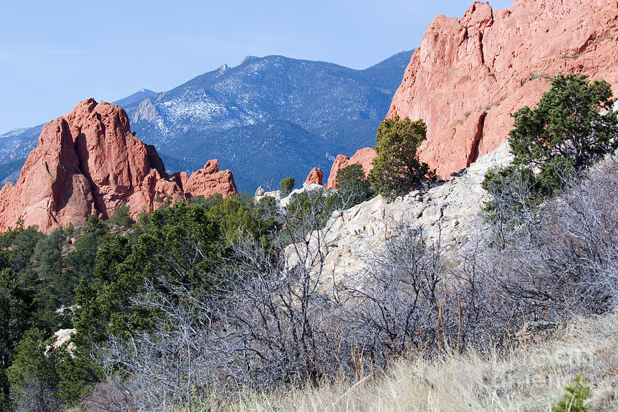 Garden of the Gods Park in Colorado Springs in the Morning Photograph ...