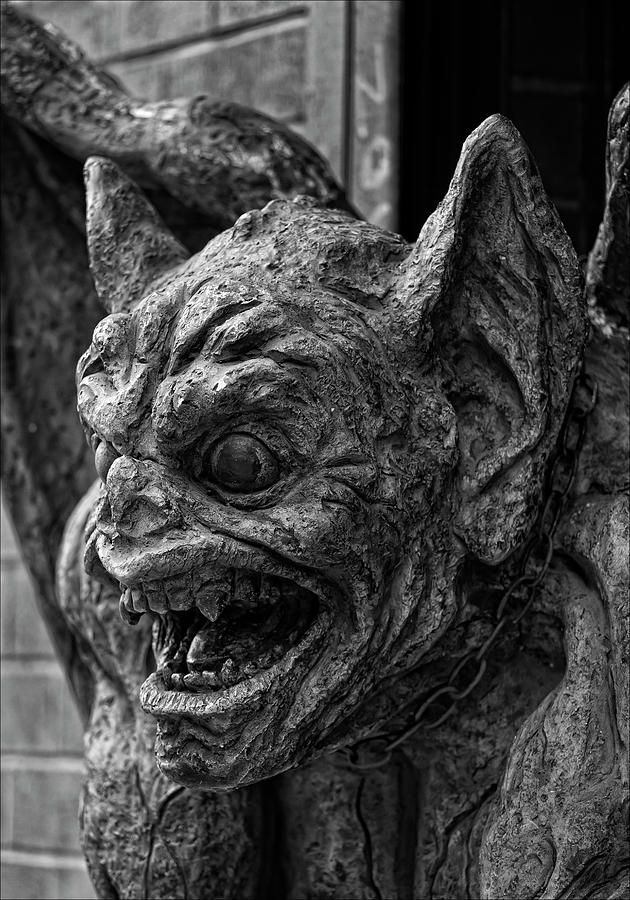 Gargoyle Photograph by Robert Ullmann - Fine Art America