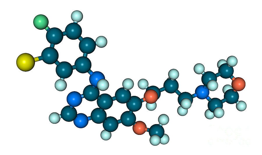 Gefitinib Molecular Model #3 Photograph by Scimat