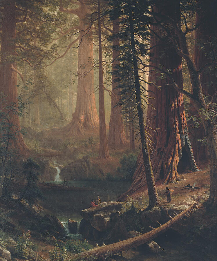 Giant Redwood Trees of California, from 1874 Painting by Albert Bierstadt