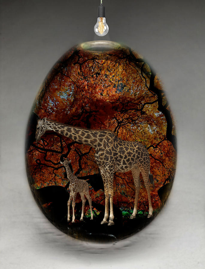 Giraffe Art #3 Mixed Media by Marvin Blaine