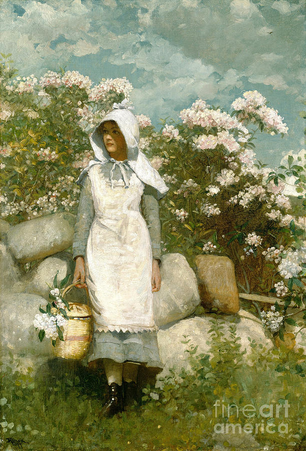 Winslow Homer Painting - Girl And Laurel #6 by Winslow Homer