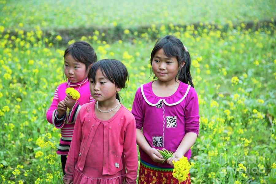 3 Girls Fields of Ha Giang  Photograph by Chuck Kuhn