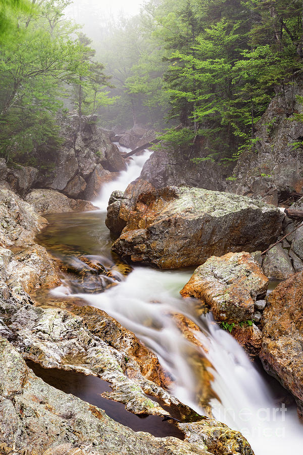 Glen Ellis River, Jackson, New Hampshire #3 Photograph by Dawna Moore Photography