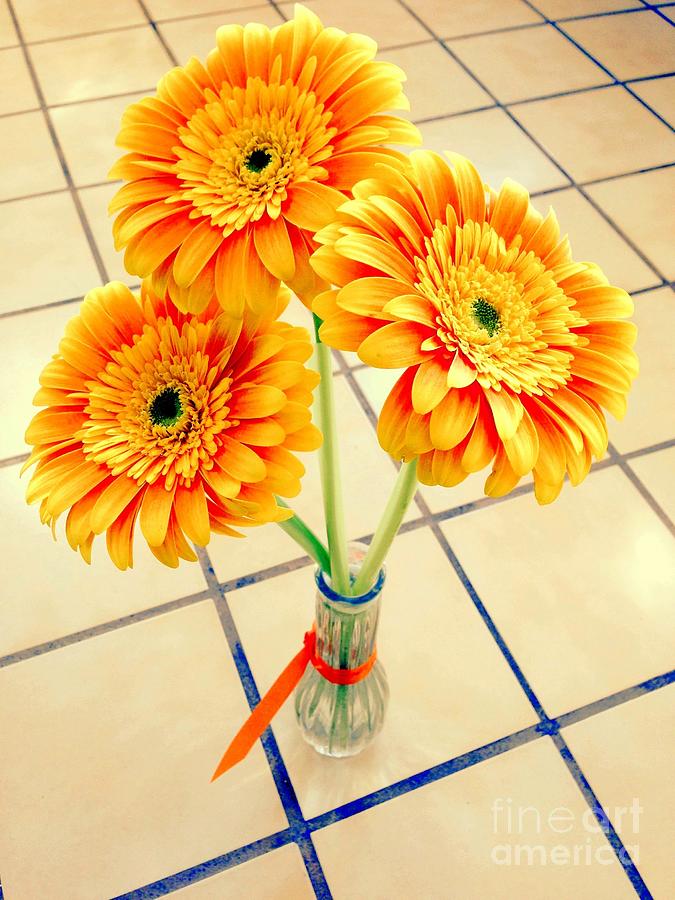 3 Golden Yellow Daisies Gift to My Beautiful Wife Suffering with No Hair Suffering fromBreast Cancer Photograph by Richard W Linford