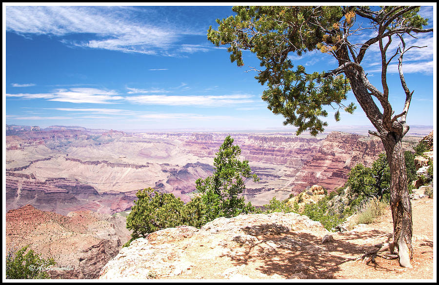 Grand Canyon, Arizona #3 Photograph by A Macarthur Gurmankin