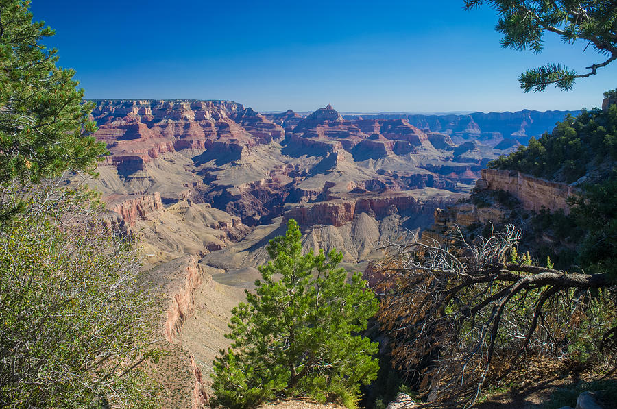 Grand Canyon National Park Photograph - Grand Canyon #3 by Chris Pickett