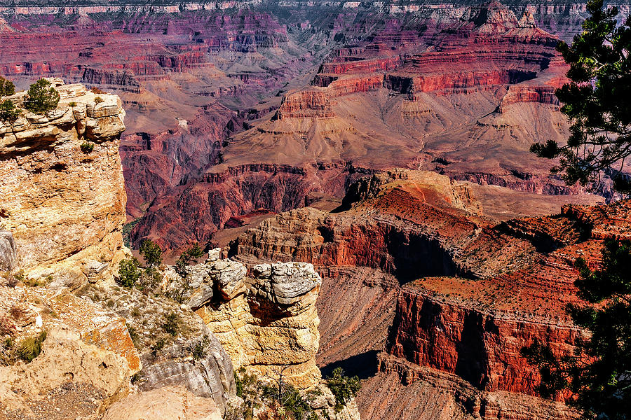 Grand Canyon #3 Photograph by Doug Long