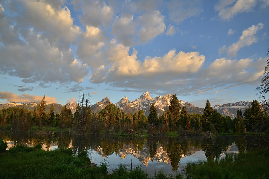 Grand Teton National Park #3 Photograph by Ray Mathis