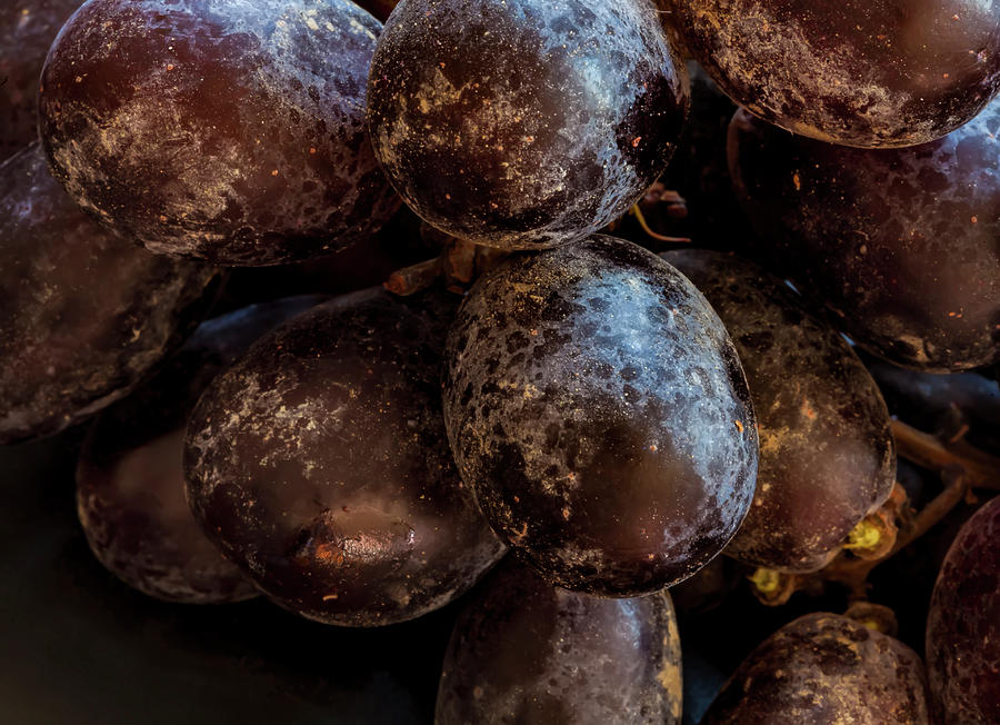 Grape Still Life #3 Photograph by Robert Ullmann